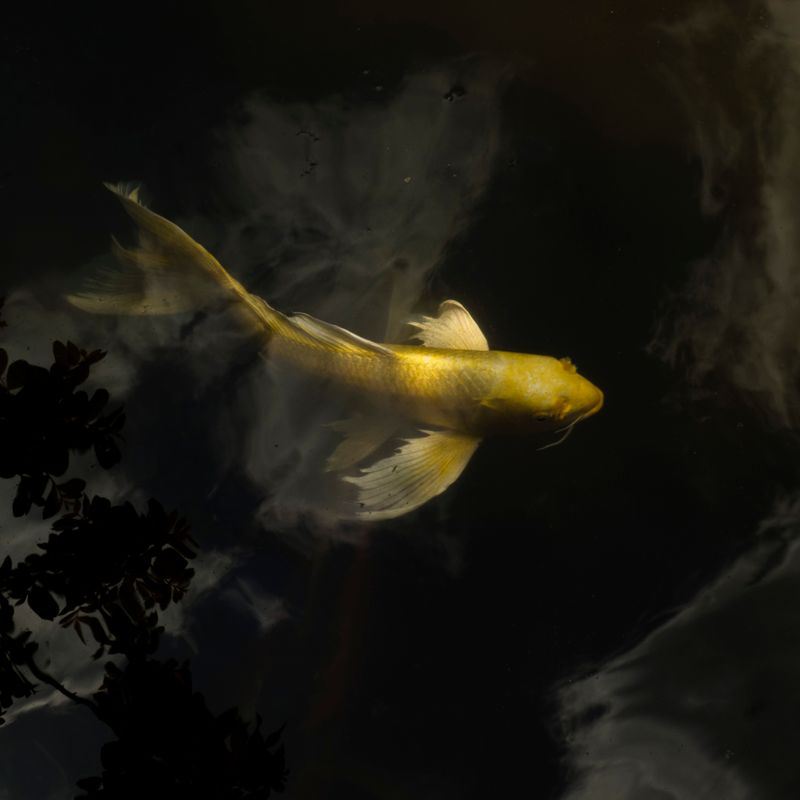 © Isis Ascobereta - Image from the Every Day, Eternity photography project