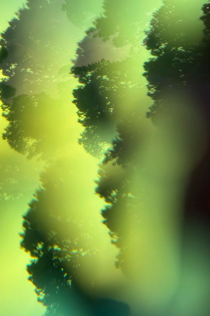 © Isis Ascobereta - Image from the Every Day, Eternity photography project