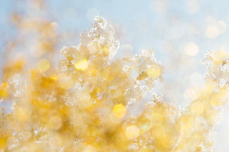 © Isis Ascobereta - Image from the Every Day, Eternity photography project