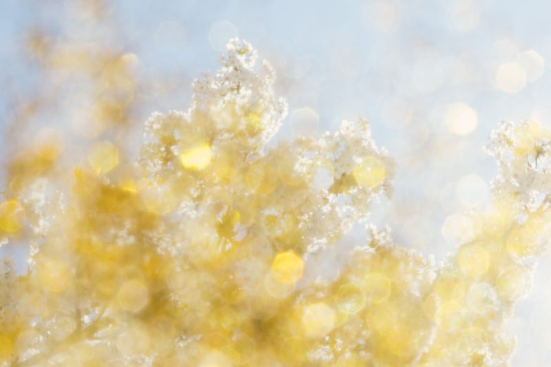 © Isis Ascobereta - Image from the Every Day, Eternity photography project