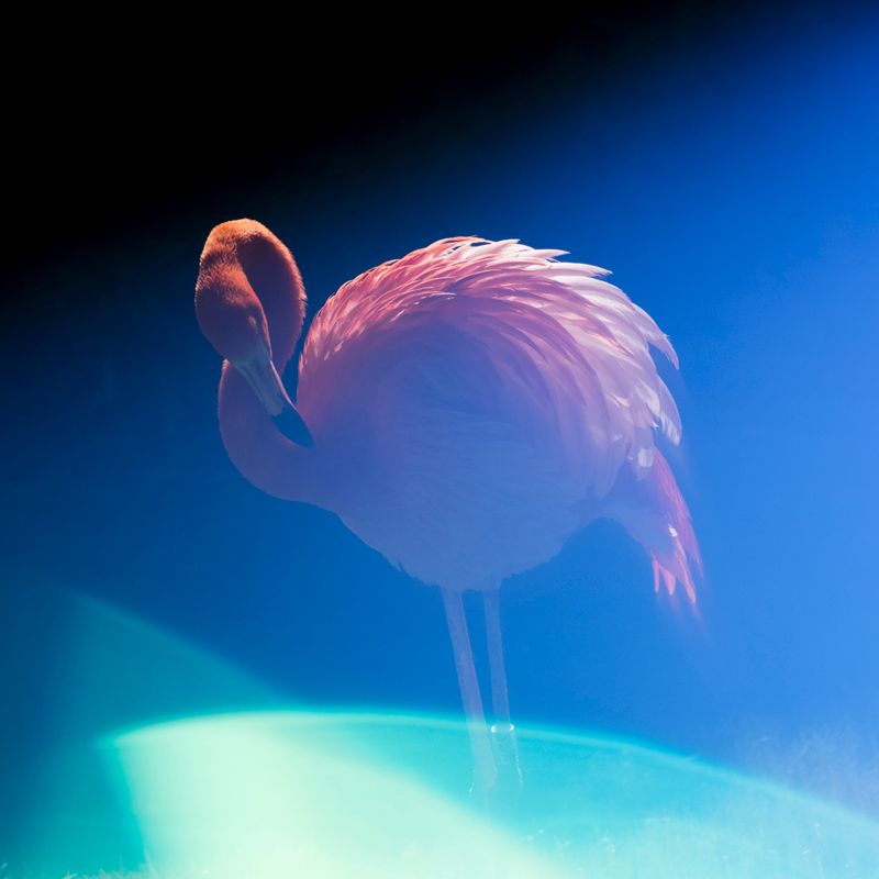 © Isis Ascobereta - Image from the Every Day, Eternity photography project