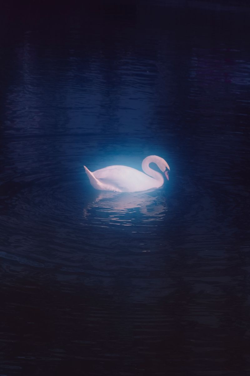 © Isis Ascobereta - Image from the Every Day, Eternity photography project