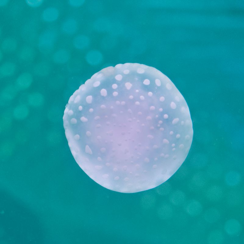 © Isis Ascobereta - Image from the Every Day, Eternity photography project