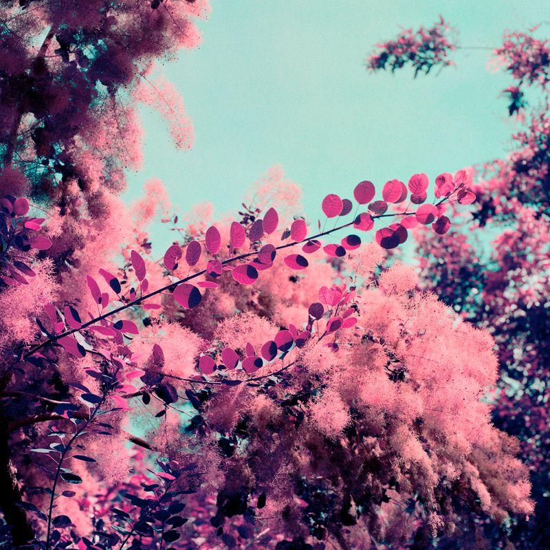 © Isis Ascobereta - Image from the Myriad photography project