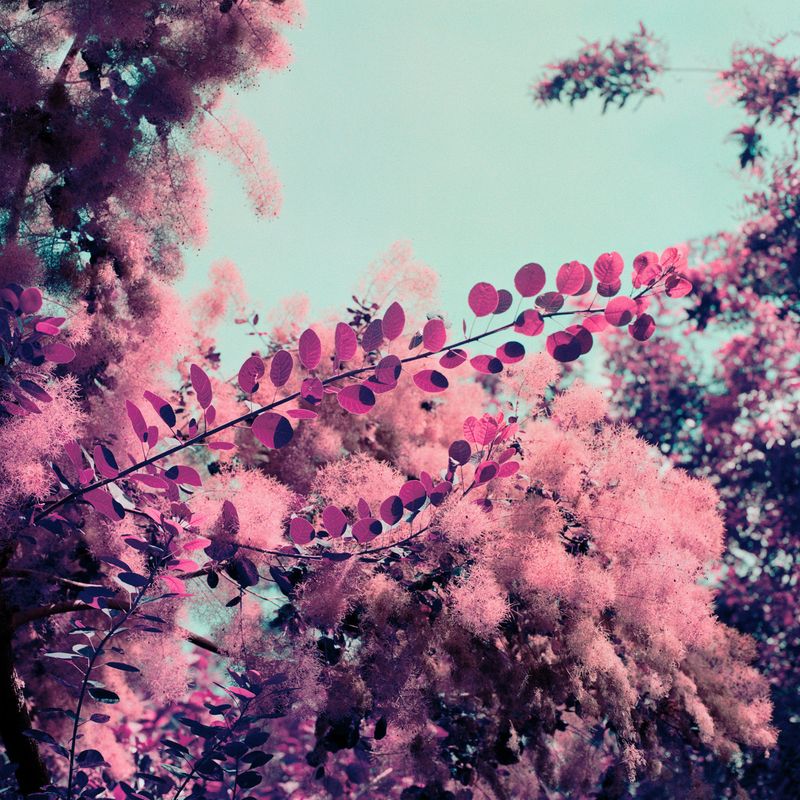 © Isis Ascobereta - Image from the Myriad photography project