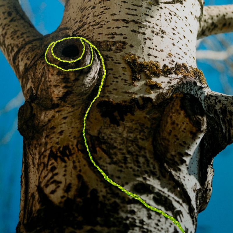 © Isis Ascobereta - Image from the Myriad photography project