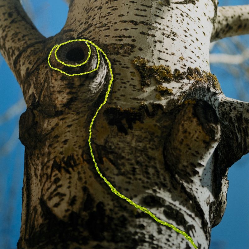 © Isis Ascobereta - Image from the Myriad photography project