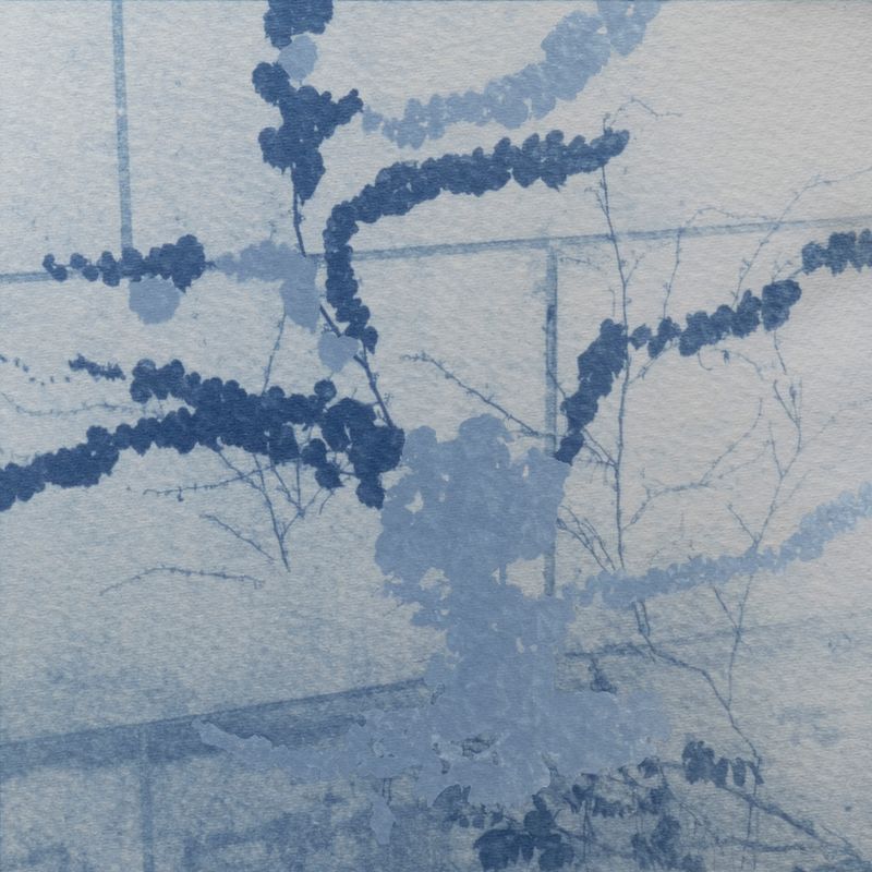 © Isis Ascobereta - Image from the Myriad photography project