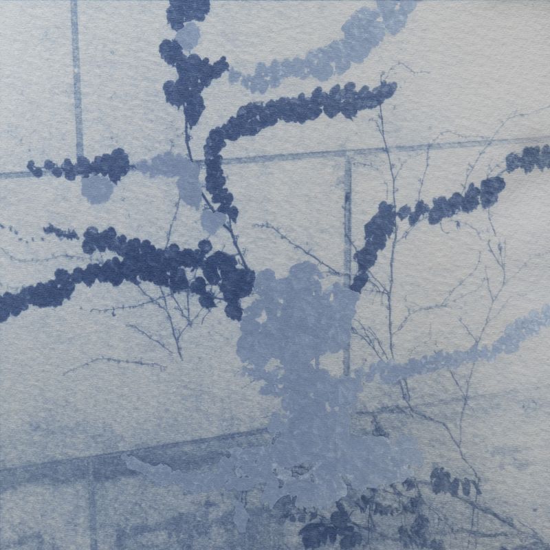 © Isis Ascobereta - Image from the Myriad photography project