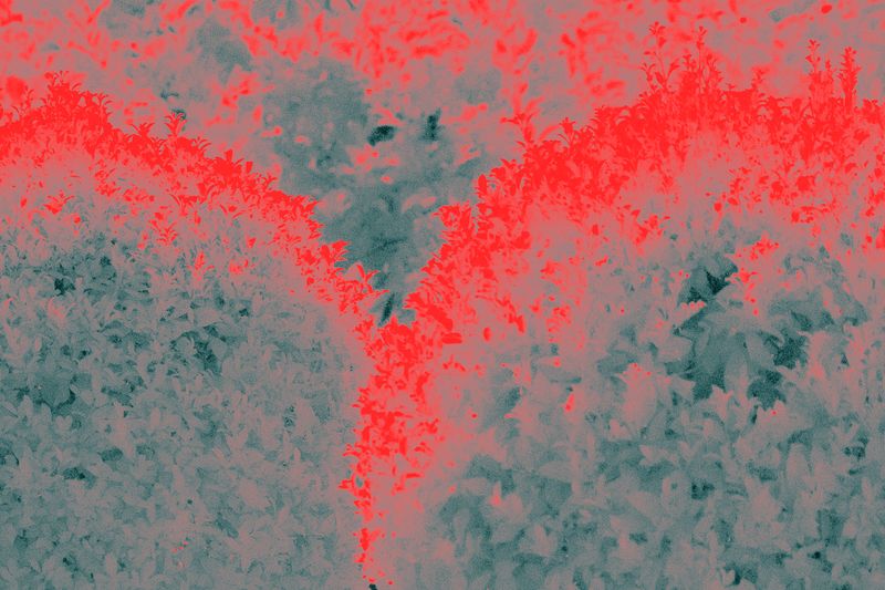 © Isis Ascobereta - Image from the Myriad photography project