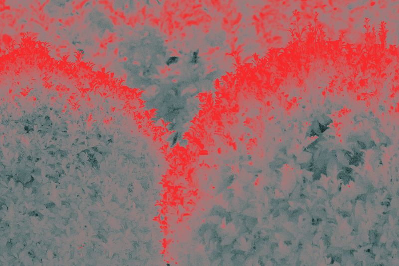 © Isis Ascobereta - Image from the Myriad photography project