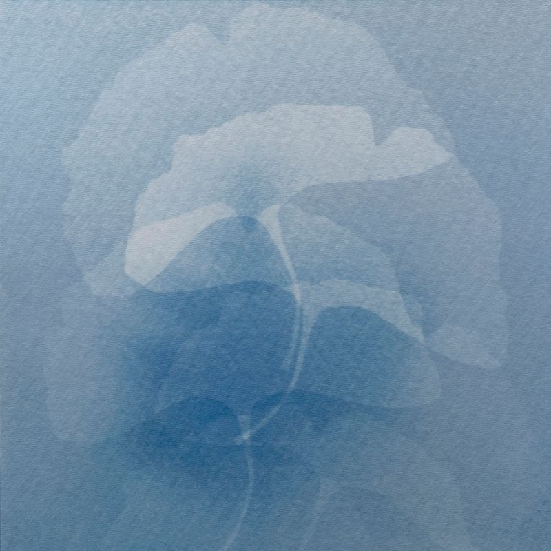 © Isis Ascobereta - Image from the Myriad photography project