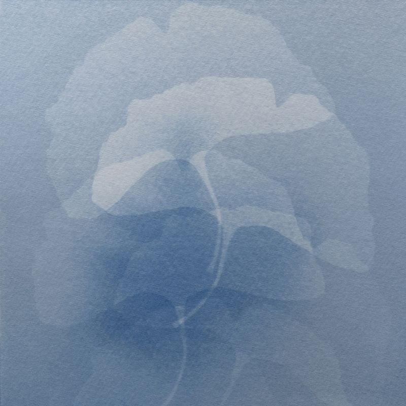 © Isis Ascobereta - Image from the Myriad photography project