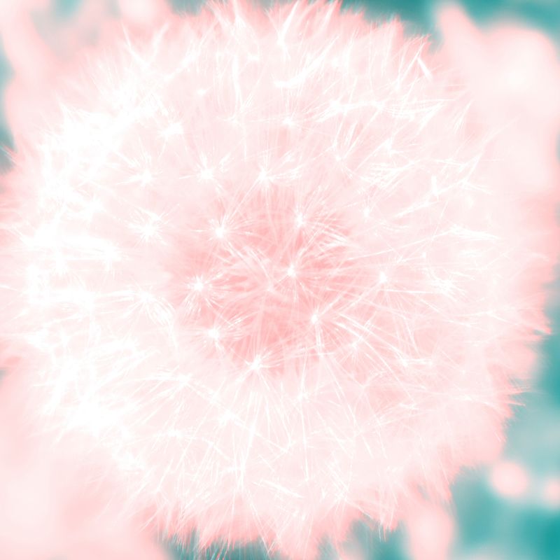 © Isis Ascobereta - Image from the Myriad photography project