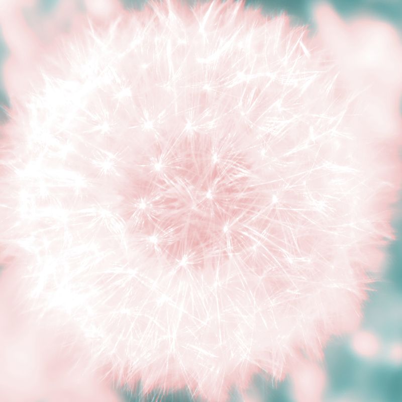 © Isis Ascobereta - Image from the Myriad photography project