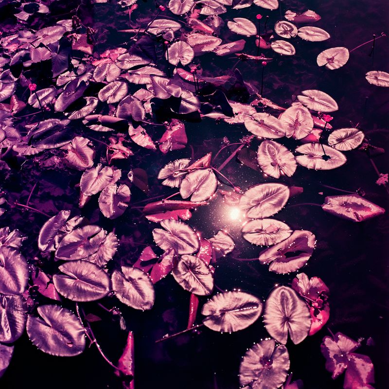 © Isis Ascobereta - Image from the Myriad photography project