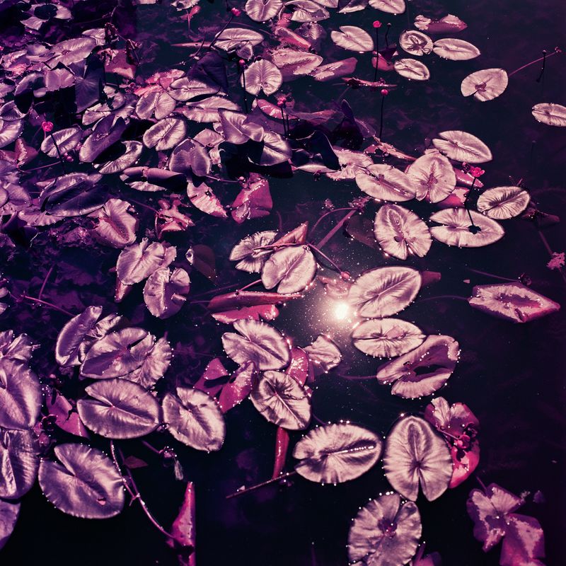 © Isis Ascobereta - Image from the Myriad photography project