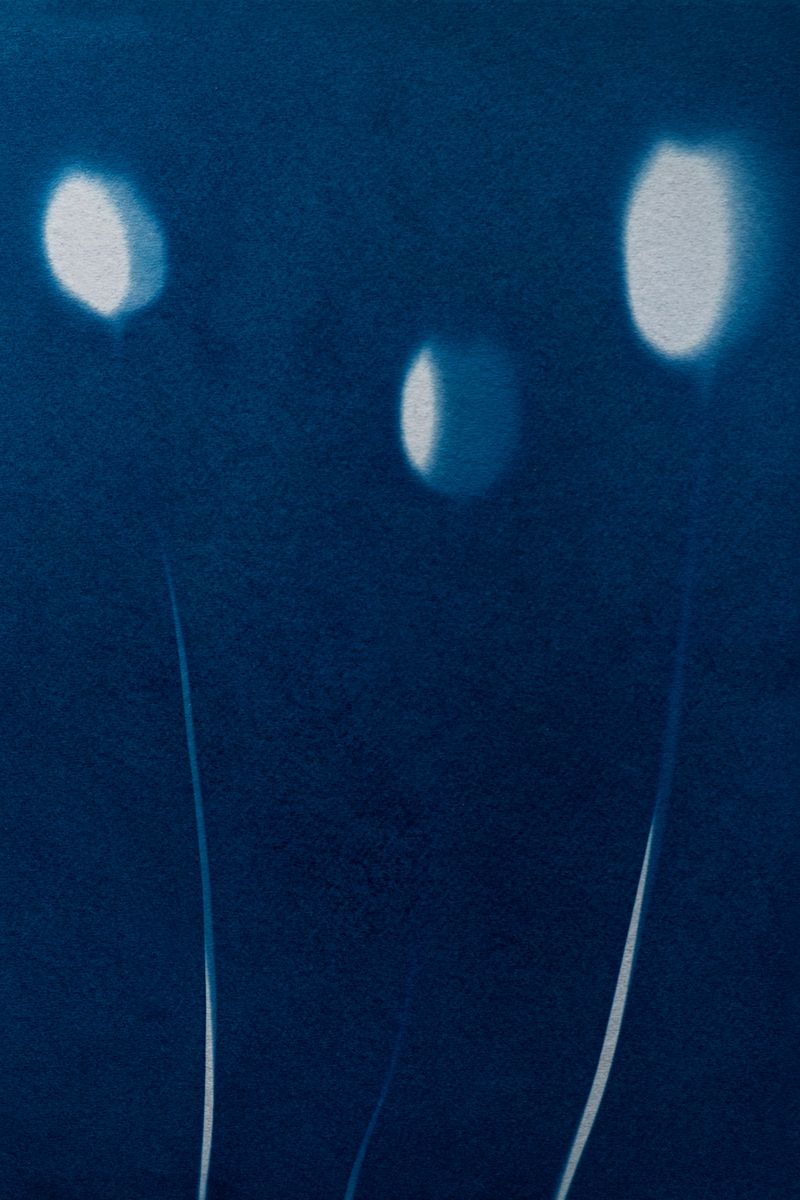 © Isis Ascobereta - Image from the Myriad photography project