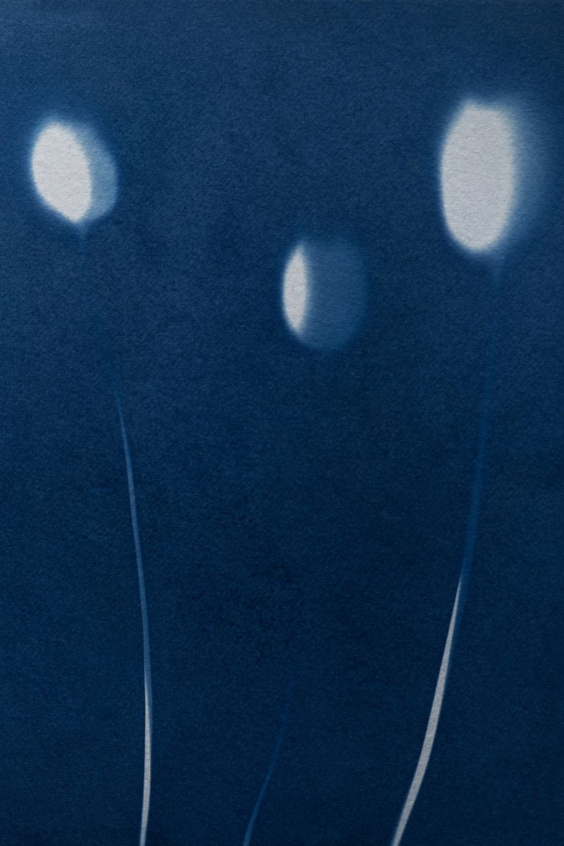 © Isis Ascobereta - Image from the Myriad photography project