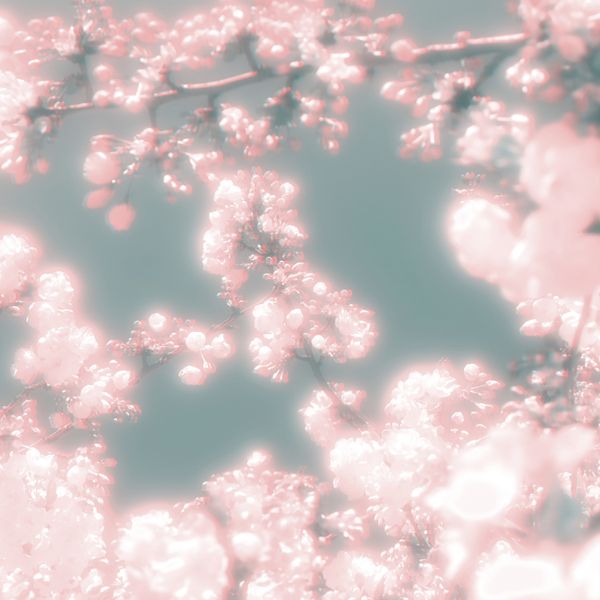 © Isis Ascobereta - Image from the Myriad photography project