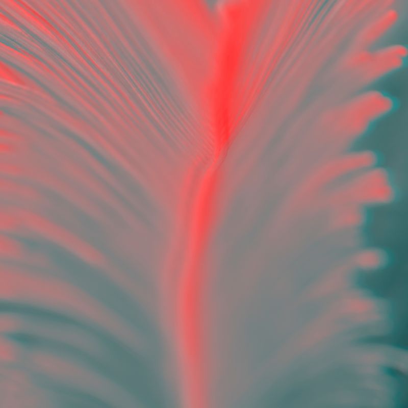 © Isis Ascobereta - Image from the Myriad photography project