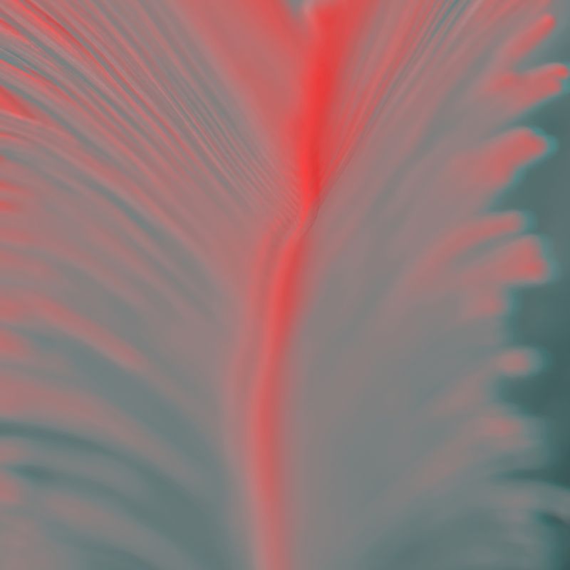 © Isis Ascobereta - Image from the Myriad photography project