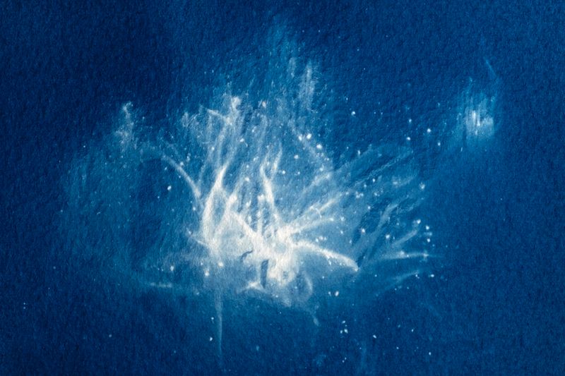 © Isis Ascobereta - Image from the Myriad photography project