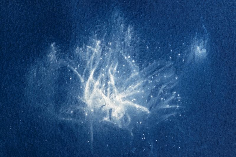 © Isis Ascobereta - Image from the Myriad photography project