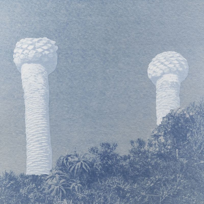 © Isis Ascobereta - Image from the Myriad photography project