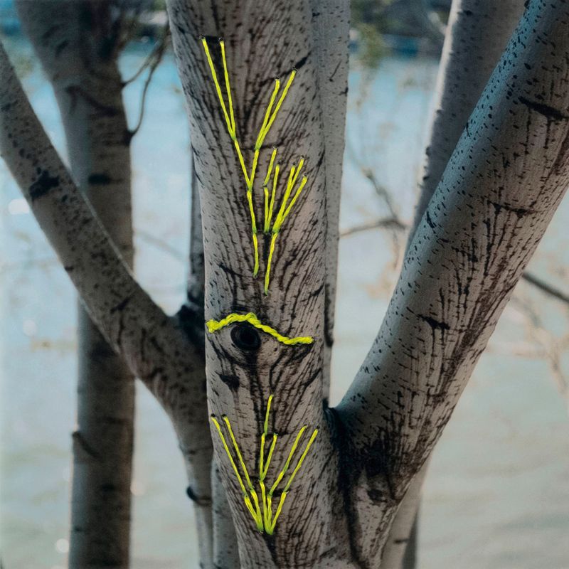 © Isis Ascobereta - Image from the Myriad photography project