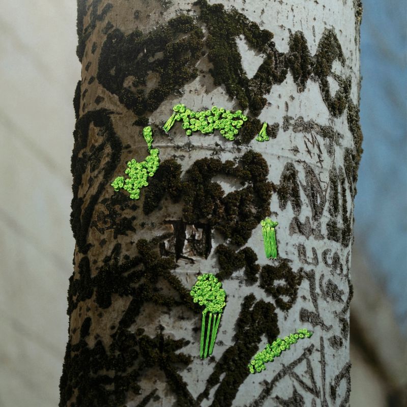 © Isis Ascobereta - Image from the Myriad photography project