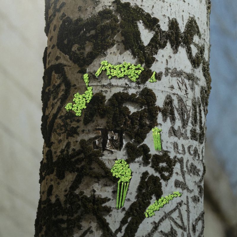 © Isis Ascobereta - Image from the Myriad photography project