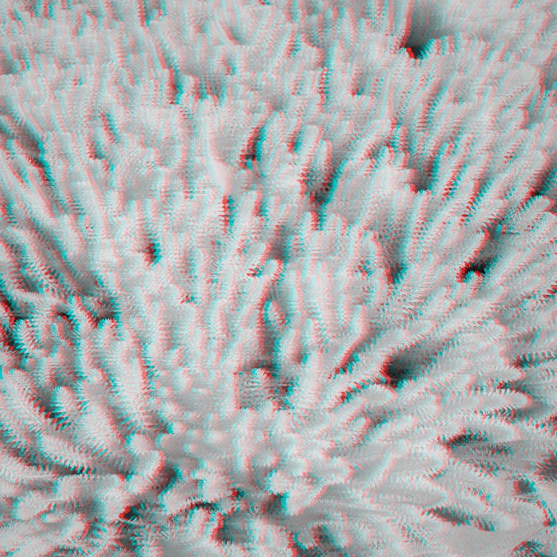 © Isis Ascobereta - Image from the Myriad photography project