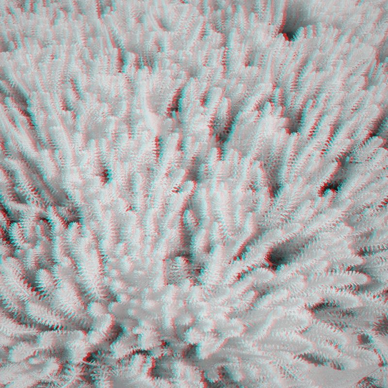 © Isis Ascobereta - Image from the Myriad photography project