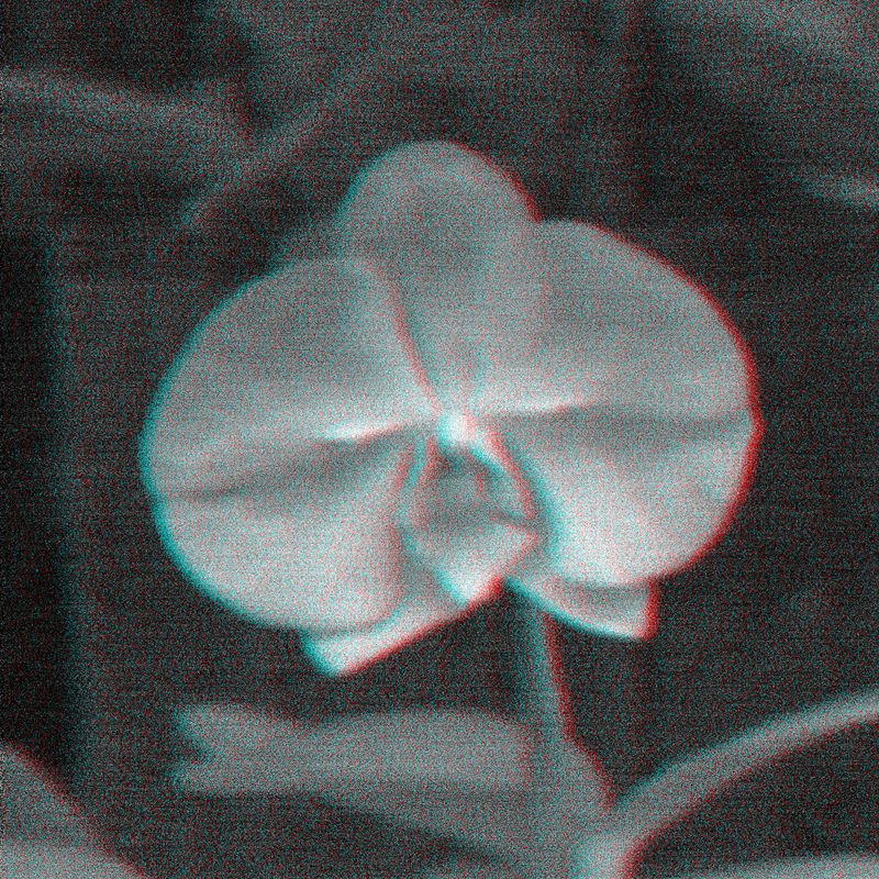 © Isis Ascobereta - Image from the Myriad photography project