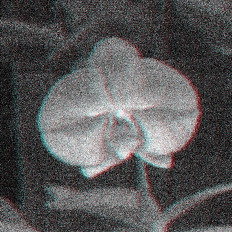 © Isis Ascobereta - Image from the Myriad photography project