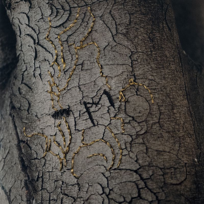 © Isis Ascobereta - Image from the Myriad photography project