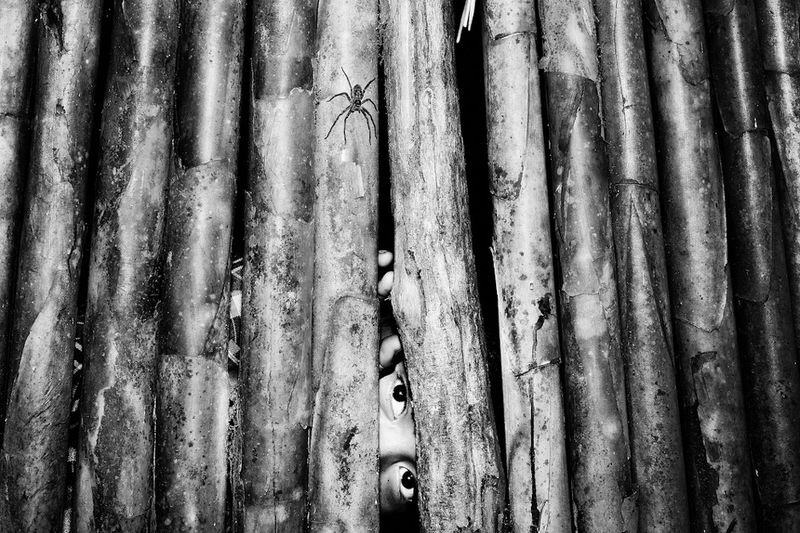 © Nicolas Janowski - Image from the The Liquid Serpent photography project