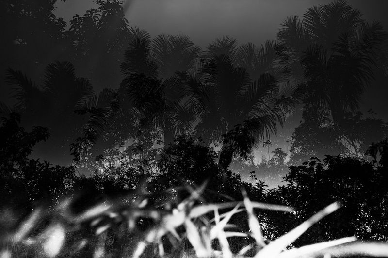 © Nicolas Janowski - Iquitos, Peru. 2012.