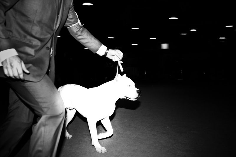 © Nicolas Janowski - Image from the The Blurred City photography project