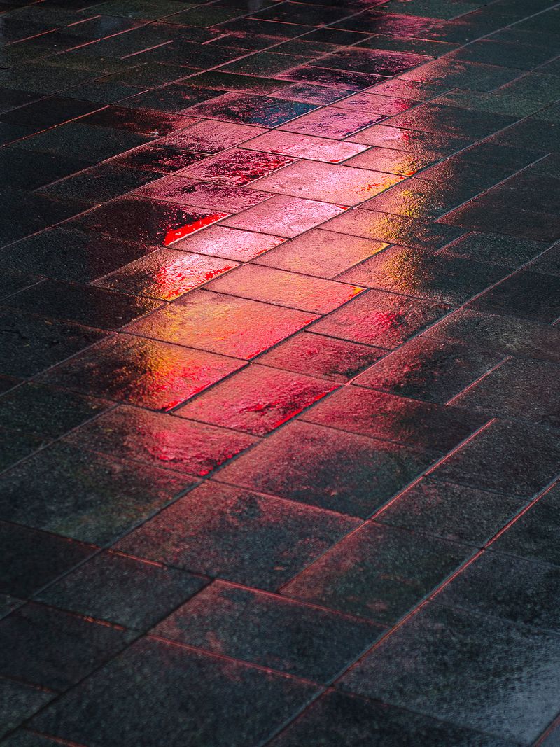 © Niké Dolman - Red reflections, 2015