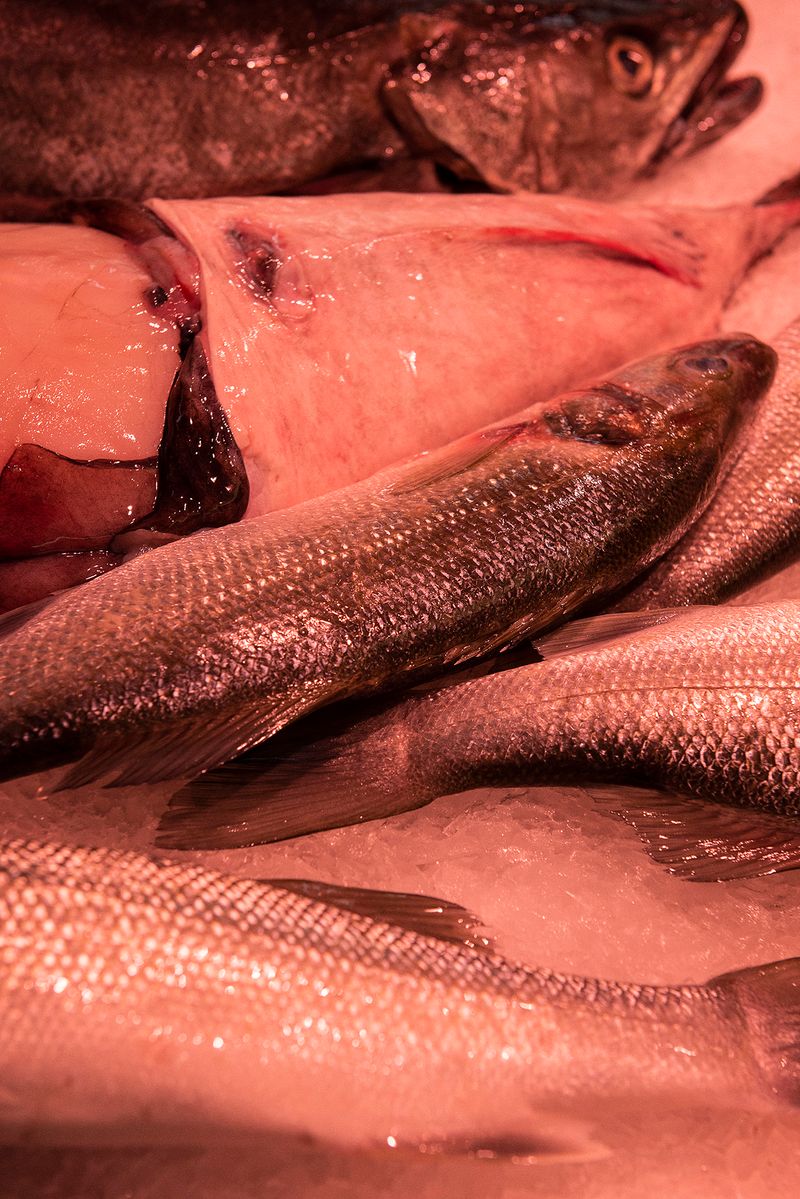 © Niké Dolman - A classic lover's tale, 2019