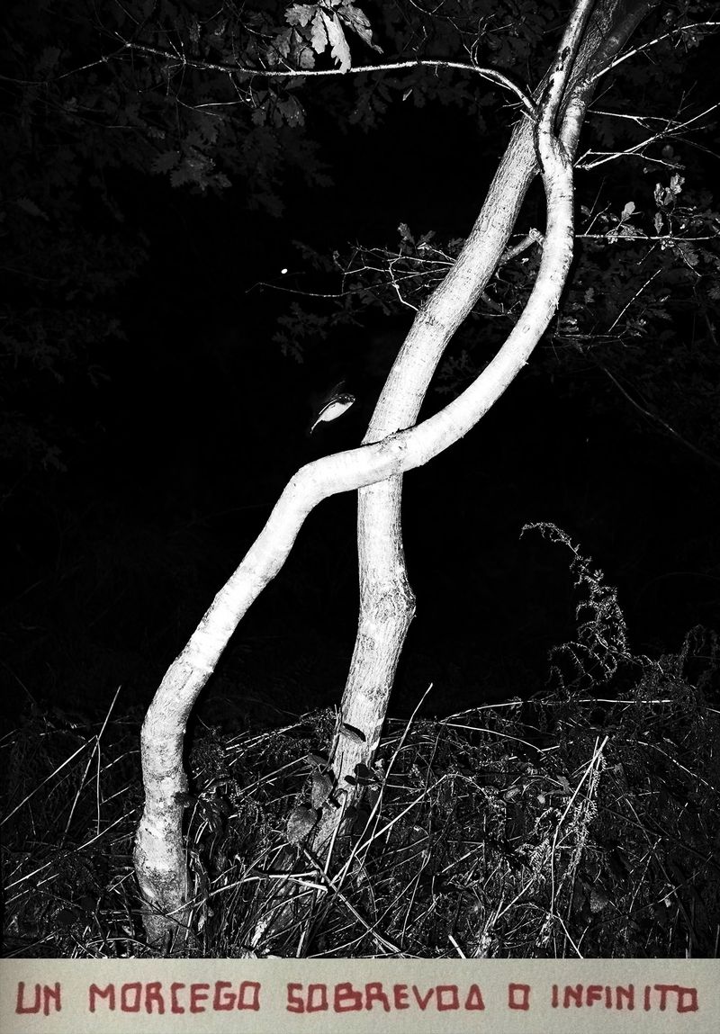 © Adrián González Salgueiro - Image from the Nouturnio photography project