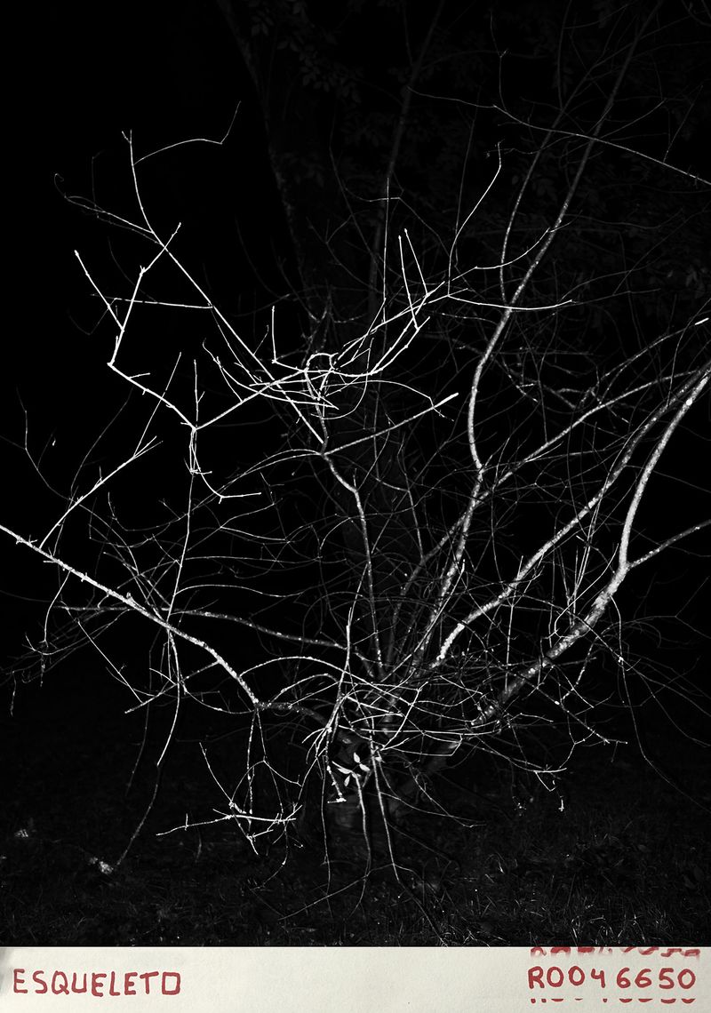 © Adrián González Salgueiro - Image from the Nouturnio photography project