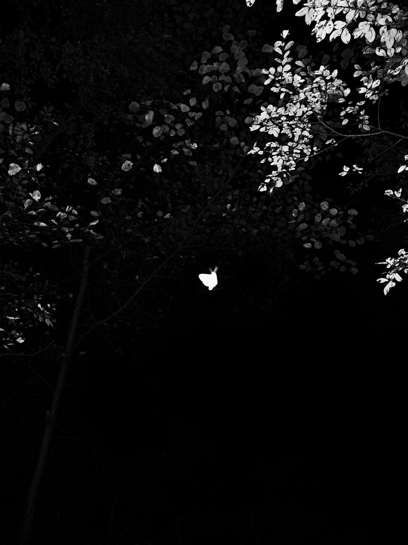 © Adrián González Salgueiro - Image from the Nouturnio photography project