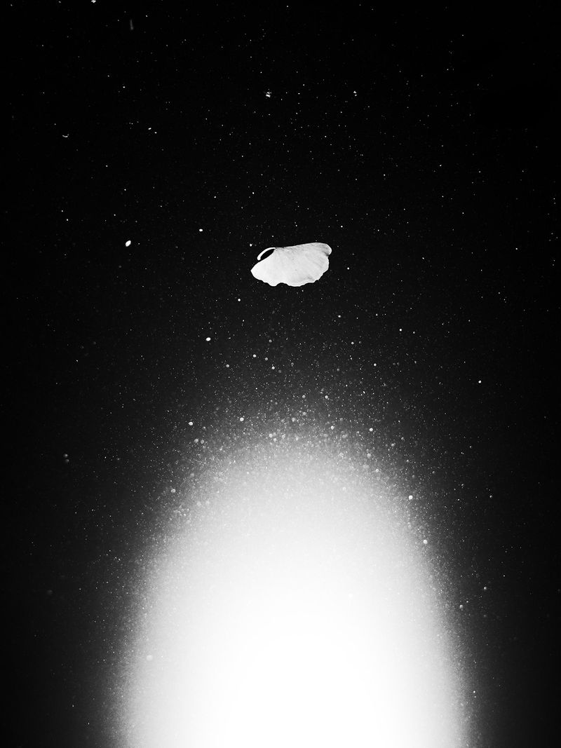 © Adrián González Salgueiro - Image from the Nouturnio photography project