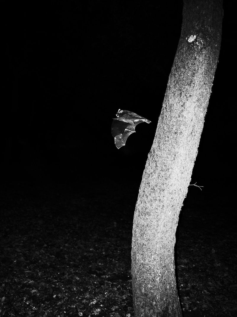 © Adrián González Salgueiro - Image from the Nouturnio photography project