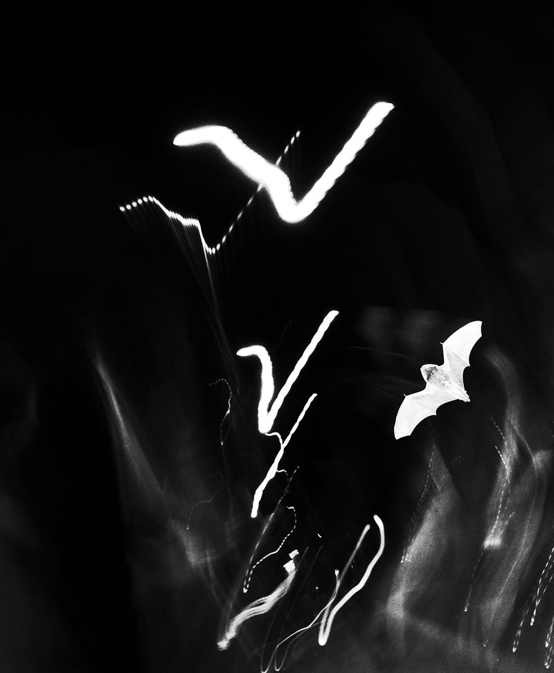 © Adrián González Salgueiro - Image from the Nouturnio photography project