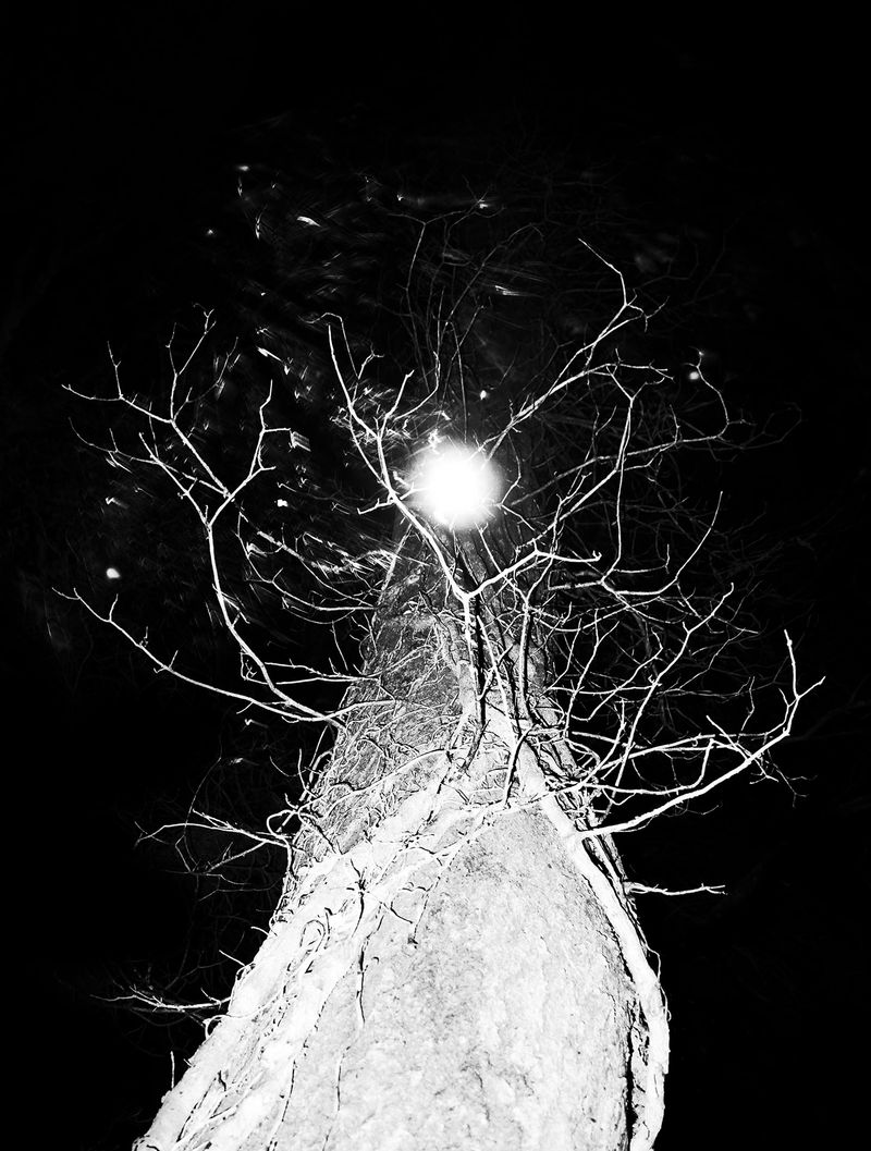 © Adrián González Salgueiro - Image from the Nouturnio photography project