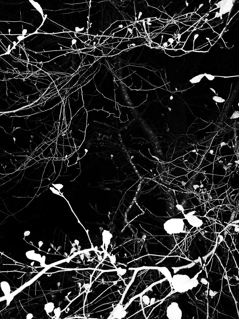 © Adrián González Salgueiro - Image from the Nouturnio photography project